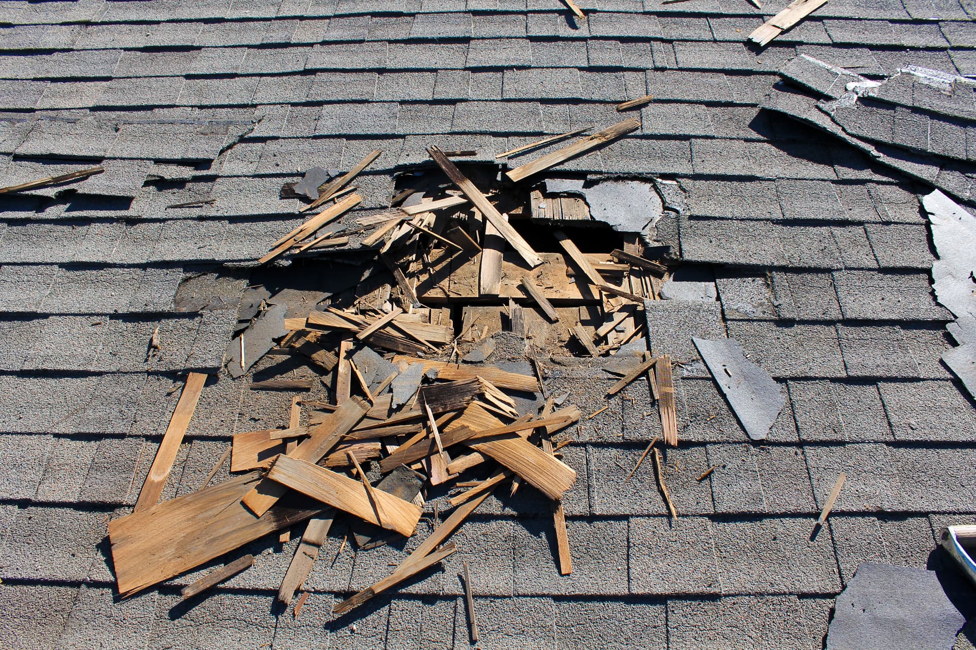 Does a Damp Diagnostic Survey Cover Timber?