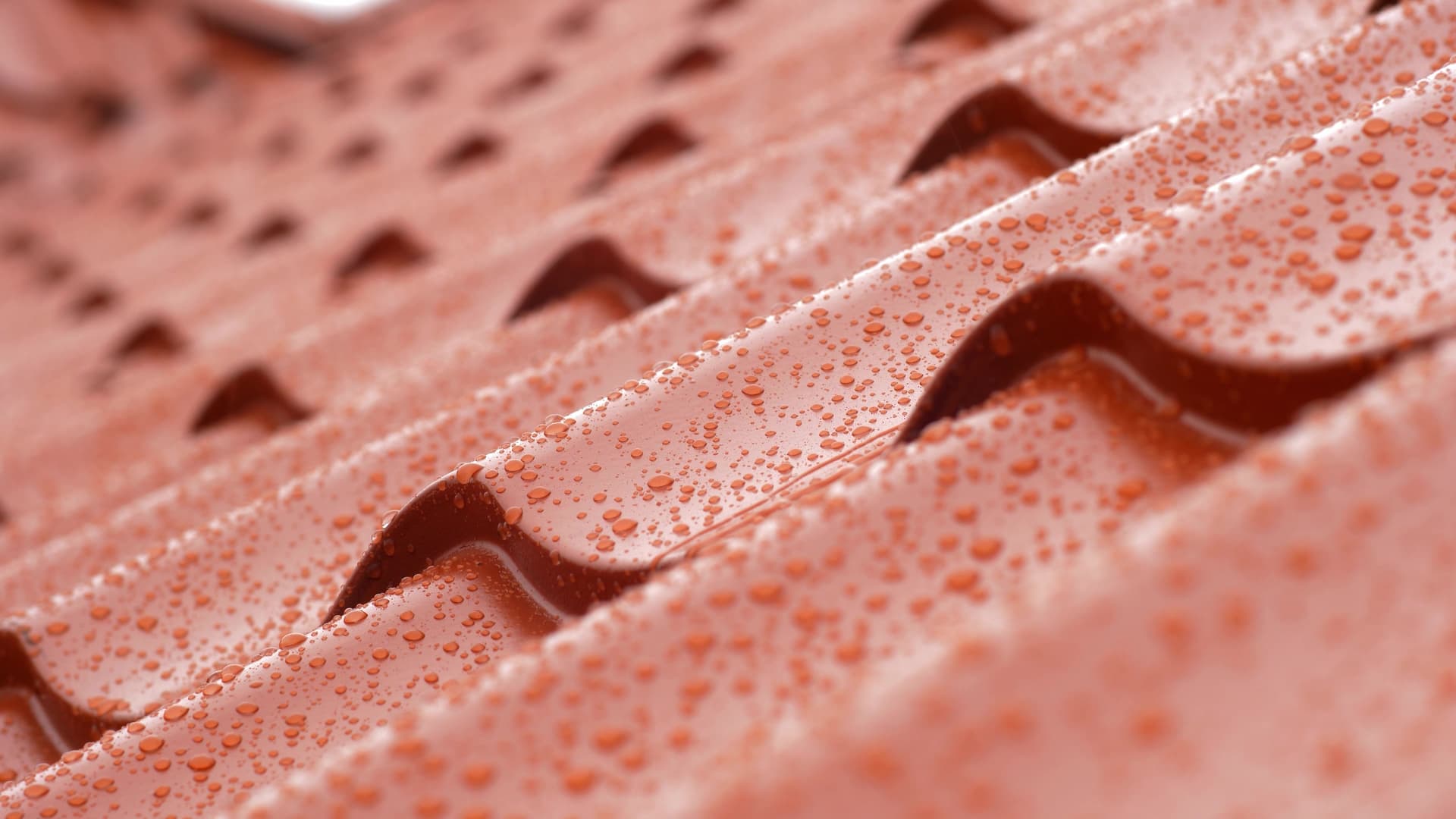Will a Damp Survey Identify Rising Damp, Penetrating Damp or Condensation?
