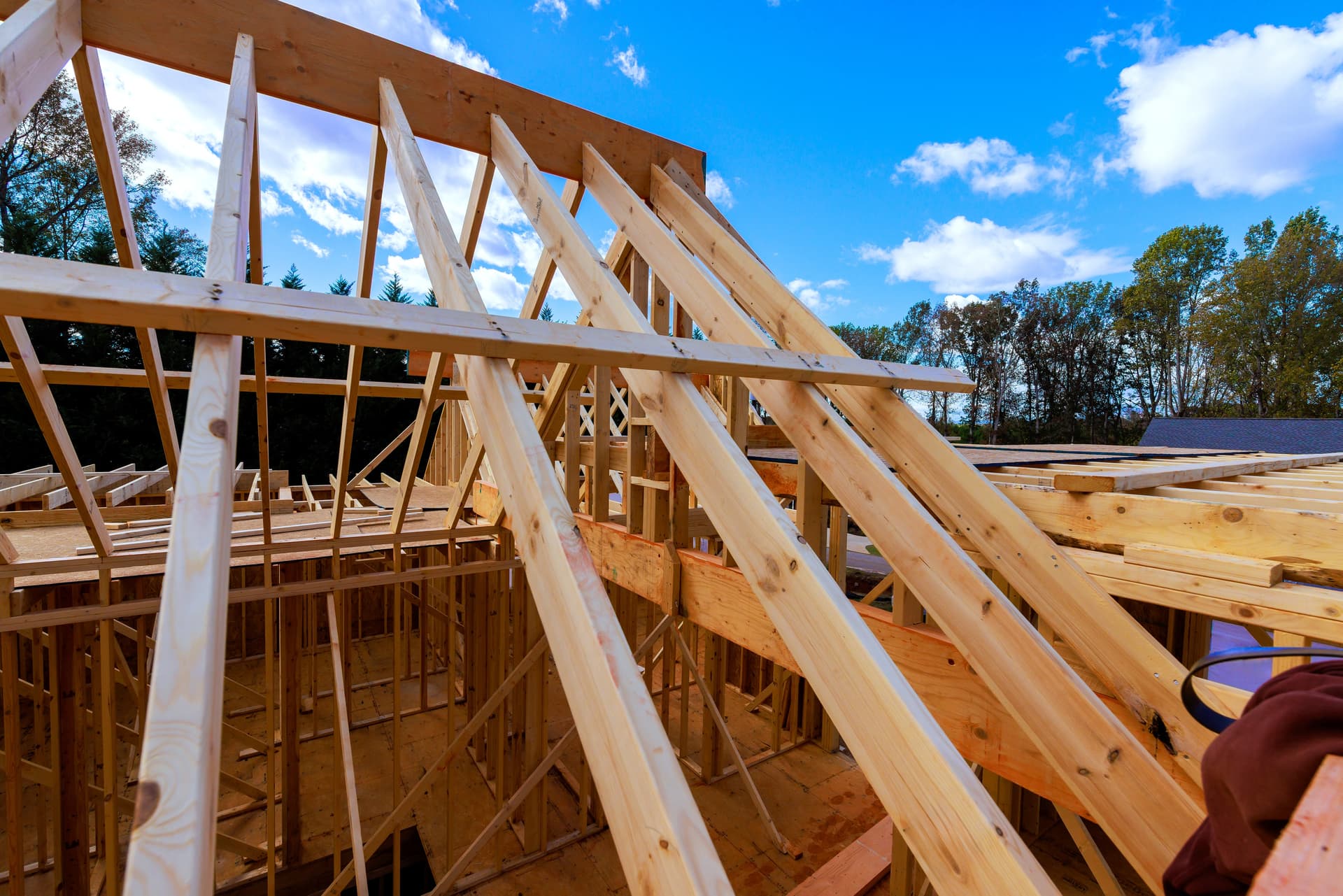 Which Timbers Are Inspected in a Damp and Timber Survey?