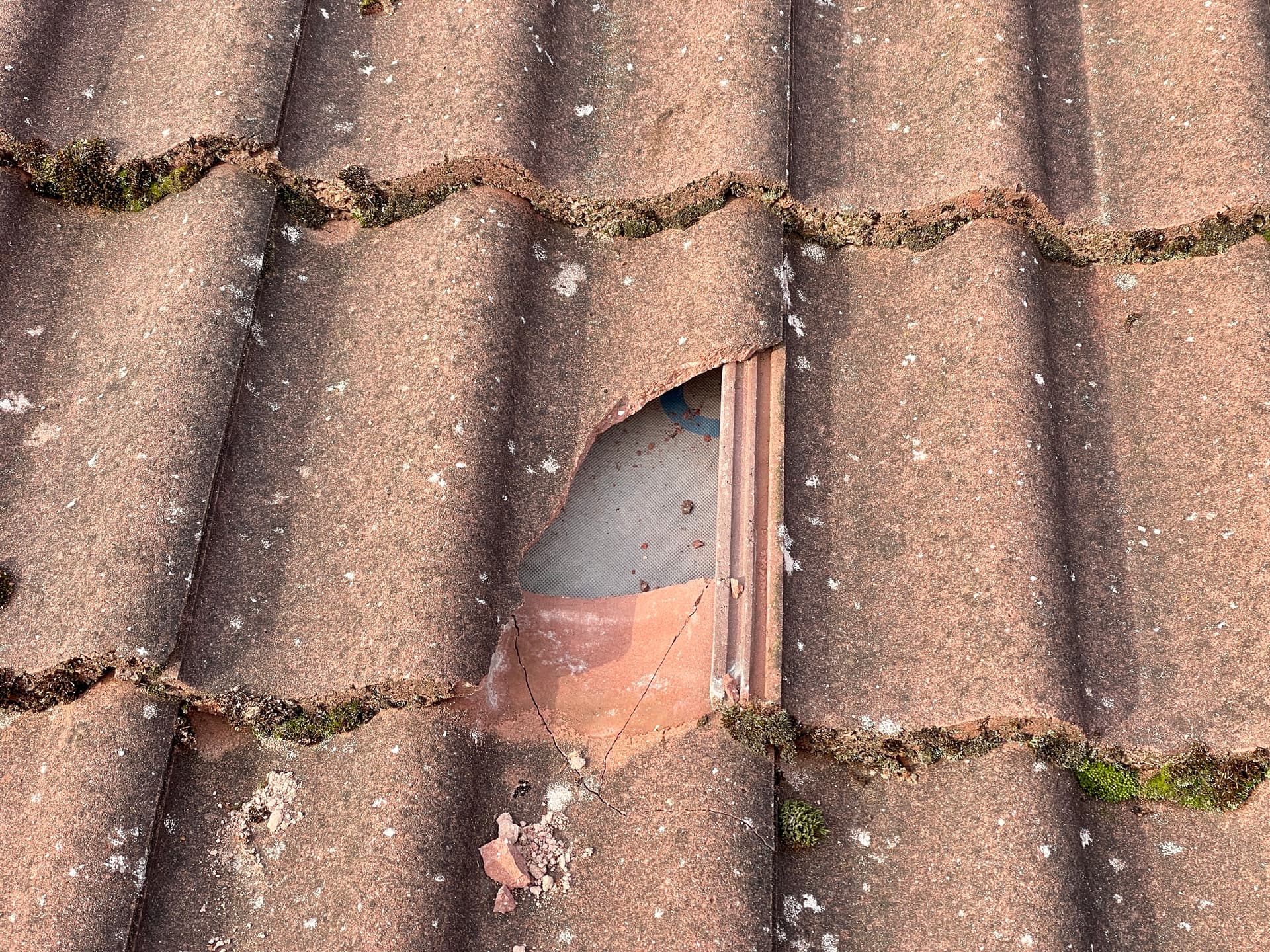 What Causes a Damp Proof Course to Fail?